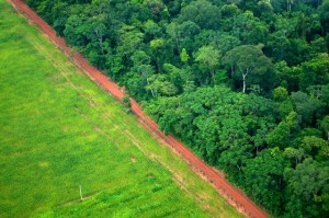 La deforestación es uno de las principales fuentes de emisión de gases de efecto invernadero del Sur Global como en esta área de Rio Branco, en el norteño estado de Acre, en Brasil. Los INDC prometen revertir la situación para 2030. Crédito: Kate Evans / Centro para la Investigación Forestal Internacional