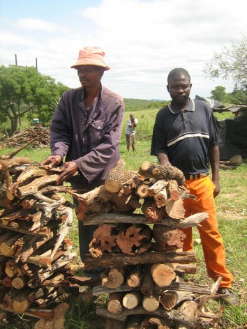 Vendedores de leña. La agricultura itinerante puso en peligro a la selva del distrito de Karonga, en el norte de Malawi. Crédito: Mantoe Phakathi/IPS.
