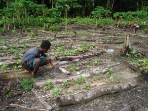 La degradación del suelo, el cambio climático, las fuertes lluvias del monzón tropical y las plagas son algunos de los problemas que padecen los agricultores de todo el mundo. Crédito: Catherine Wilson/IPS
