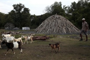 Los hornos de tierra son el método más usado para hacer carbón vegetal en Cuba, como el elaborado en la Ciénaga de Zapata, en las cercanías de la oriental localidad de Playa Girón. Crédito: Jorge Luis Baños/IPS