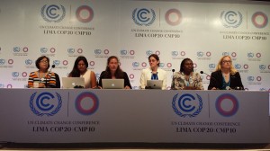 Un grupo de activistas que monitorean la inclusión del enfoque de género en las negociaciones climáticas de la COP 20 en Lima, durante un encuentro informativo el 9 de diciembre. Crédito: Diego Arguedas Ortiz /IPS