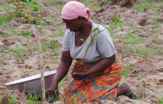 Una mujer planta un árbol de karité en Ghana para proteger los márgenes del río y para mejorar su economía. Queda mucho por hacer para superar las dificultades que atraviesa la población femenina, en especial en áreas rurales, en términos de movilidad y participación política. Crédito: ©IFAD/Dela Sipitey