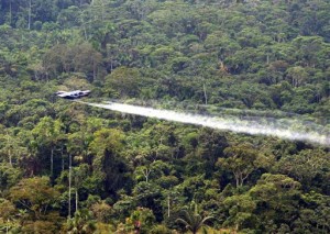 La fumigación de cultivos ilícitos con glifosato ha dañado el ambiente de la selva colombiana. Crédito: Dominio público