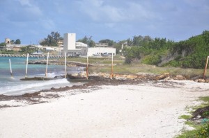 Una parte de la playa Jabberwock, situada en la costa noreste de Antigua, erosionada por el mar. Crédito: Desmond Brown / IPS