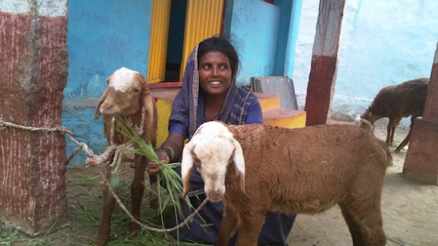Bhagyamma, una mujer dalit que en el pasado fue una esclava del templo, encontró la autosuficiencia económica con la crianza de cabras en la aldea de Nagenhalli, en el estado indio de Karnataka. Crédito: Stella Paul / IPS