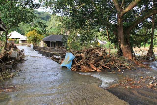 Durante la tempestad de 2013, las inundaciones depositaron grandes cantidades de troncos previamente talados en zonas residenciales y comerciales de San Vicente y Granadinas. Crédito: Kenton X. Chance/IPS