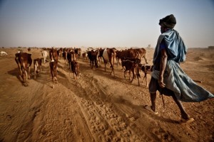 Dja Abdullah, una víctima más del cambio climático impulsado por las centrales eléctricas de carbón, caminó durante 300 kilómetros con su ganado en busca de pastos frescos en la región del Sahel, en Mauritania. Crédito: Pablo Tosco/Oxfam