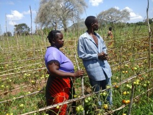El agricultor de Zambia Neva Hamalengo (a la derecha) sabe lo que significa perder su cosecha como consecuencia del clima. Crédito: Friday Phiri/IPS