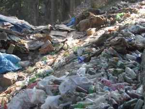 Botellas y bolsas de plástico constituyen la mayor parte de los desperdicios que agreden el delicado ecosistema montañoso cuando los peregrinos acuden en masa a visitar la cueva de Amarnath, en el estado de Jammu y Cachemira, en India, para venerar al dios Shiva. Crédito: Athar Parvaiz/IPS.