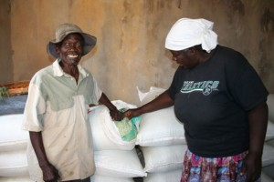 Los agricultores Enock Gwangwawa y Alice Mhonda, en Zimbabwe, almacenan su maíz en bolsas herméticas para protegerlo del gorgojo y los hongos. Crédito: Busani Bafana / IPS