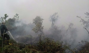 Incendio en Garung, una aldea en Kalimantan Central, en Indonesia. Crédito: Ministerio de Medio Ambiente y Bosques de Indonesia.