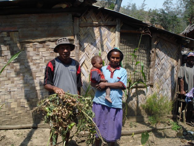 Habitantes de Avaninofi, en Papúa Nueva Guinea, exhiben plantas de tomate que perecieron durante la grave sequía de este año. Crédito: Catherine Wilson / IPS