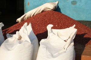 El alto nivel de las aflatoxinas en el maní de Malawi afectó las exportaciones de ese país. Crédito: Busani Bafana / IPS
