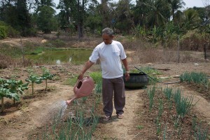 El campesino José de Souza riega la huerta de su parcela de nueve hectáreas en el municipio de Belterra, en el amazónico estado de Pará, en el norte de Brasil, donde sus vegetales crecen ralos por las consecuencias de la irrupción del monocutivo de la soja. El nuevo monocultivo ha perjudicado a los agricultora familiar de la zona, de la que depende la alimentación de 70 por ciento de su población. Crédito: Fabiana Frayssinet/IPS