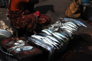 Las pescadoras se encargan de actividades subsidiarias como la venta y el procesamiento, pero carecen de un suministro adecuado de agua, saneamiento y les falta higiene menstrual. Crédito: Malini Shankar/IPS.