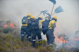 Bomberos de WoF combatiendo un incendio en Muizenberg, cerca de Ciudad del Cabo, Sudáfrica. Crédito: IPS-WoF1