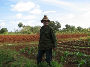 Juan Reyes en su finca de Cotorro, en Cuba. Ese país caribeño intenta aprovechar sus experiencias en la llamada agricultura urbana, para afrontar el reto de la seguridad alimentaria. Crédito: Patricia Grogg/IPS.