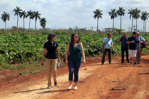 Miembros de la Coalición Agrícola Estadounidense por Cuba, integrada por 30 empresas agroalimentarias, visitan la cooperativa Primero de Mayo, en Güira de Melena, en la occidental provincia cubana de Artemisa. Crédito: Jorge Luis Baños/IPS