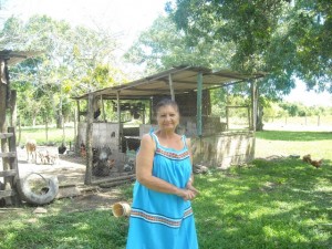 Aura Canache, ante un establo de ovejas, en su pequeña finca ganadera de menos de una hectárea a 130 kilómetros de Caracas, en la región agrícola de Barlovento, en el centro costero de Venezuela. La dificultad de acceso al crédito hace que todos sus ingresos vayan a sostener su explotación de menos de una hectárea. Crédito: Estrella Gutiérrez/IPS