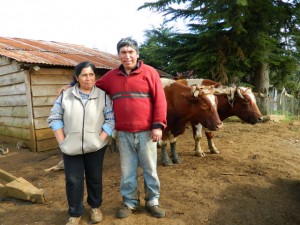 Los mapuches Luis Aillapán y su esposa Catalina Marileo fueron condenados por una ley antiterrorista por reclamar la construcción de un camino en medio de sus tierras, lo que irrespetaba sus derechos de tenencia. Crédito: Marianela Jarroud/IPS
