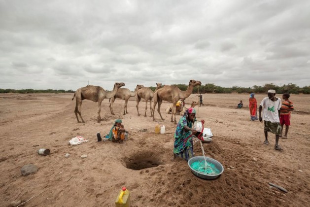 En Somalilandia y el estado somalí de Puntland, casi dos millones de personas sufren el impacto de la sequía en el marco del fenómeno de El Niño. Somalia pertenece a la Liga Árabe. Crédito: PMA/Petterik Wiggers.