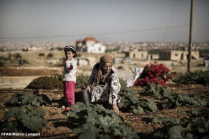 La escasez de agua es uno de los problemas de la inseguridad alimentaria más acuciantes a los que debe hacer frente Medio Oriente y África del norte. Se pronostica que la disponibilidad de agua dulce disminuya 50 por ciento para 2050. Crédito: FAO / Marco Longari.