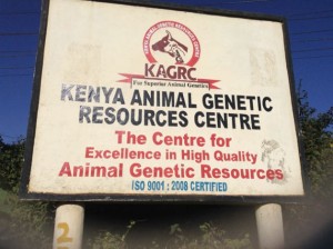 Centro de Recursos Genéticos Animales, con sede en Nairobi. Crédito: Justus Wanjala/IPS.