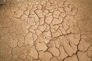 La falta de lluvias deja el suelo seco y no apto para la agricultura. Crédito: Mauricio Ramos/IPS.