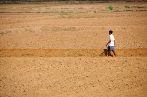 La tierra cuarteada se ha vuelto muy común en las zonas áridas de Sri Lanka. Crédito: Amantha Perera/IPS.