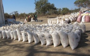 Sacos de maíz en el Depósito de la Agencia de Reserva de Alimentos en Kasiya, en el distrito de Pemba en el sur de Zambia. Crédito: Friday Phiri/IPS.