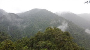 El Parque Nacional Tapantí, al este de San José de Costa Rica, cubre más de 50.000 hectáreas de bosque y sirve como punto de recarga acuífera. Crédito: Diego Arguedas Ortiz/IPS