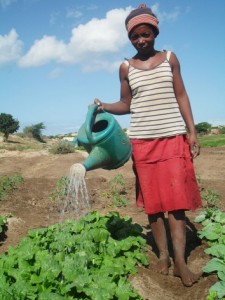 A pesar de la sequía, algunos campos del sur de Madagascar siguen verdes y sanos porque los agricultores adoptaron prácticas inteligentes contra el clima. Crédito: Miriam Gathigah / IPS