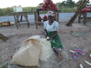 Con más apoyo de extensión, las agricultoras pueden aumentar su productividad y mejorar la seguridad alimentaria en África. Crédito: Busani Bafana/IPS.