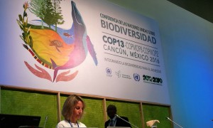 Podio de la plenaria de la Conferencia de las Naciones Unidas sobre Biodiversidad, que se celebra en Cancún, en México. Crédito: Ana Cristina Ramos/Pie de Página