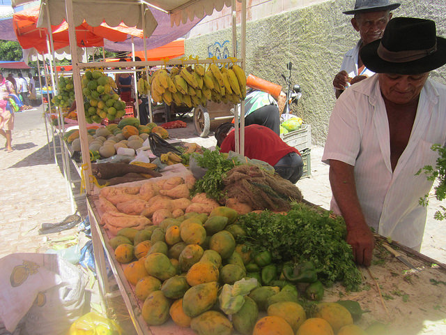 Luis Alves Maia en el puesto de la feria agroecológica donde vende cada sábado sus frutas y verduras en Apodi. Él forma parte de los campesinos afortunados, que no se han visto afectados por la pertinaz sequía en el Nordeste de Brasil, gracias a la disponibilidad de agua. Crédito: Mario Osava/IPS