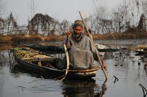 Fayaz Ahmad Khanday arranca un tallo de loto del lago Wullar, en Cachemira. Crédito: Umer Asif / IPS