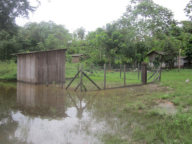 Un gallinero en la aldea de Miratu, inundada porque el río Xingu creció mucho más de lo anunciado por Norte Energía, la empresa constructora y concesionaria de la central hidroeléctrica de Belo Monte, con su principal embalse a unos 20 kilómetros río arriba de la comunidad juruna, en el norte amazónico de Brasil. Crédito: Mario Osava/IPS