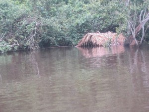 Viviendas indígenas, prácticamente sumergidas por la inesperada crecida del río Xingu. Esas casas típicas del pueblo juruna, dan apoyo a la “canoada”, un evento turístico y político que los indígenas promueven cada septiembre, en el territorio de la Volta Grande, en el norteño y amazónico estado de Pará, en Brasil. Crédito: Mario Osava/IPS https://c1.staticflickr.com/3/2814/33560872601_bcff742326_o.jpg