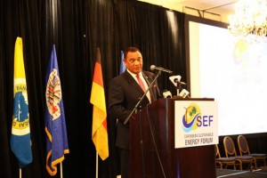 El primer ministro de Bahamas, Perry Christie, sostiene que las instituciones financieras necesitan hacer una consideración especial de las circunstancias únicas de su país. Crédito: Desmond Brown/IPS.