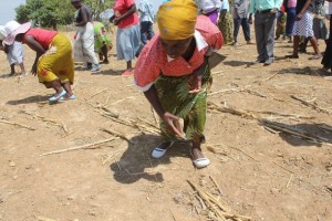 Mujeres realizan una demostración durante una capacitación de las escuelas de agricultura de la Organización de las Naciones Unidas para la Agricultura y la Alimentación. Crédito: Sally Nyakanyanga/IPS.