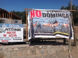 Los carteles contra la mina de hierro Dominga se prodigan en Punta de Choros, donde los pescadores exhiben las crecientes capturas, reservas naturales cruciales para la biodiversidad del planeta y la presencia de grandes cetáceos, para rechazar el proyecto extractivo en la localidad, en el norte de Chile. Crédito: Orlando Milesi/IPS