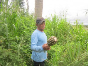 Agostinho Juruna, quien con sus 10 hijos e hijas constituyen el núcleo central de la aldea Miratu, siembra yuca, banano y piña, en este asentamiento indígena en la ribera de la Volta Grande del río Xingu, al que trastocó la vida la instalación de la central hidroeléctrica Belo Monte a pocos kilómetros, en el estado de Pará, en el norte de Brasil. Crédito: Mario Osava/IPS