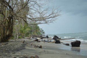 El Parque Nacional Cahuita, en la oriental costa caribeña de Costa Rica, sufre un proceso de erosión costera que está recortando sus playas, pero también bajo el agua hay un impacto del cambio climático sobre los corales. Crédito: Diego Arguedas/IPS