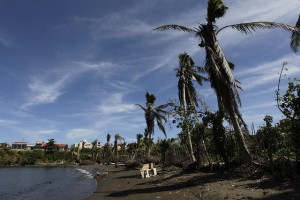 Una playa del litoral de la ciudad de Baracoa, con los cocoteros dañados por los efectos del huracán Matthew, lo que es preocupante para este municipio del oriente de Cuba, que tiene en el coco uno de sus principales rubros agrícolas. Crédito: Jorge Luis Baños/IPS