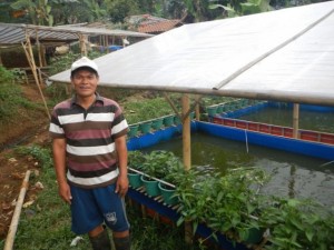 Acuaponía en Indonesia. Los sistemas bumina y yumina utilizan una técnica agrícola integrada que combina verduras, frutas y peces. Crédito: FAO