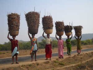 Mujeres regresan del bosque con canastas llenas de corteza de árbol, que recogieron con mucho trabajo, y estiércol seco. La comunidad bhumia practica una silvicultura sostenible. Crédito: Manipadma Jena/IPS.