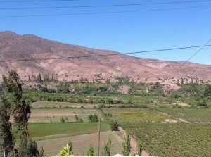 Pequeños agricultores de Samo Alto, en el norte de Chile, son obligados a compartir las aguas escasas del río Hurtado con grandes productores que instalaron una represa para aprovecharse de ellas. En el país, el recurso es un bien privado, entregado a perpetuidad a los beneficiarios. Crédito: Orlando Milesi/IPS