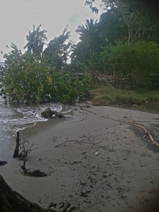 Otro aspecto del avance del mar en las playas de Balfate, una tierra de afamados paisajes en el Caribe hondureño, cuya geografía ha cambiado drásticamente en comparación a hace tres décadas, testimonian sus pobladores. Crédito: Cortesía de Hugo Galeano para IPS