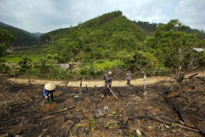 La pérdida forestal representa una sexta parte de las emisiones de gases contaminantes al año. Crédito: Joan Manuel Baliellas/FAO.