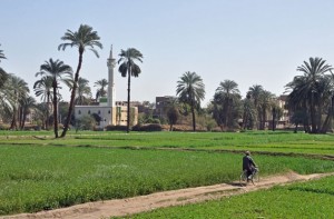 El campo de Egipto al sur de Luxor. En el fondo se ve el pueblo de Al Bayadiyah. Crédito: Marc Ryckaert (MJJR). Licencia de Creative Commons.